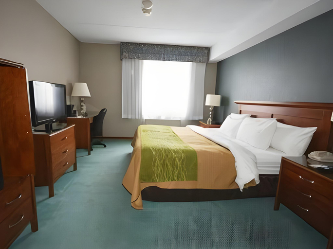 Others 4, Comfort Inn, Northumberland