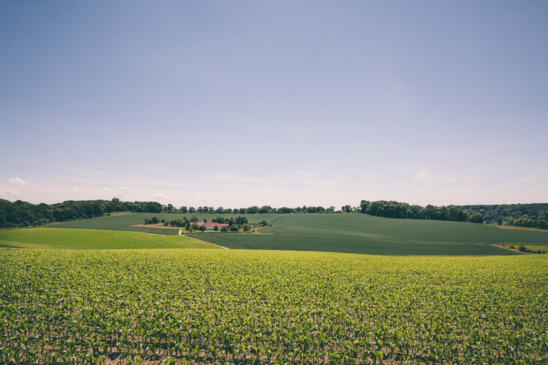 View from property 4, Bungalow With Sauna Near Valkenburg, Valkenburg aan de Geul