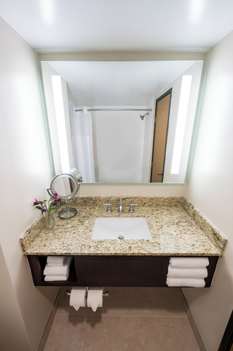 Bathroom 4, Hyatt Regency Green Bay, Brown