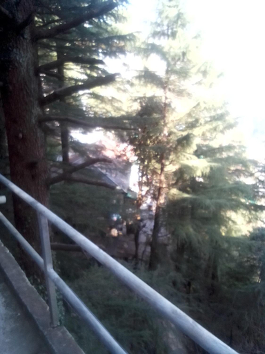 Others 3, Himalayan Triund Trekking and Waterfalls View Hostel, Kangra