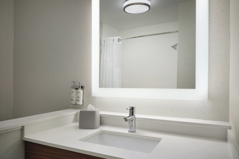 Bathroom 5, Holiday Inn Express & Suites BRUNSWICK by IHG, Glynn