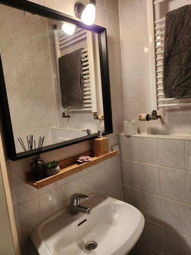 Bathroom 4, Schwalbenhof, Meißen