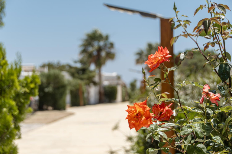 Exterior & Views 1, GLARONISSI BEACH, South Aegean