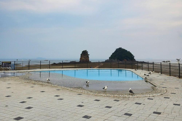 Sport & Beauty 2, Anmyeondo Noeul Shimteo Pension, Taean