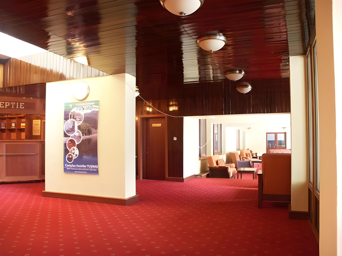 Public Area, Hotel Tusnad, Baile Tusnad