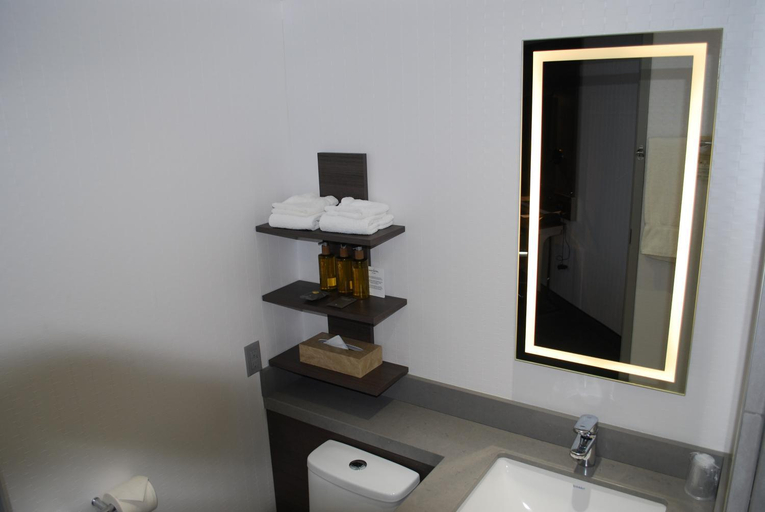 Bathroom 5, DoubleTree by Hilton Ottawa Downtown, Ottawa