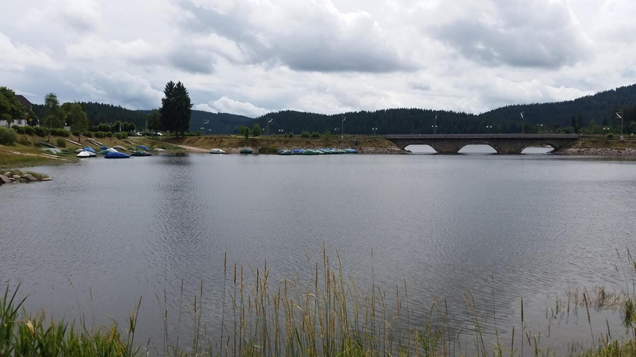 Others 5, Pension am See, Breisgau-Hochschwarzwald