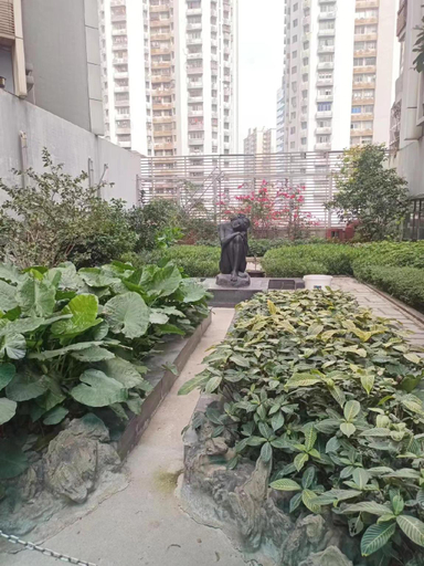 Others 5, The Xiao Youzi Capsule Hostel, Shenzhen