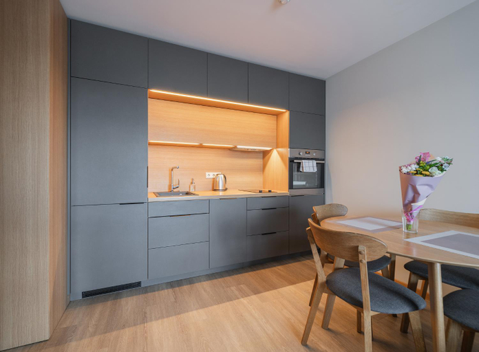 Others 5, Gyneju Self Check-in Apartments, Vilniaus