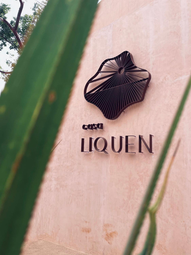 Sport & Beauty 2, Casa Liquen, Compostela