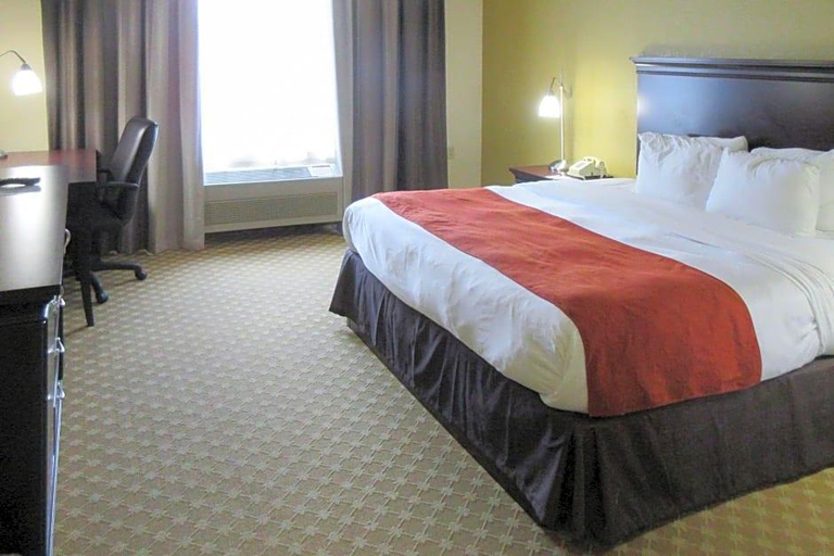 Public Area 5, Quality Inn Suites, Douglas