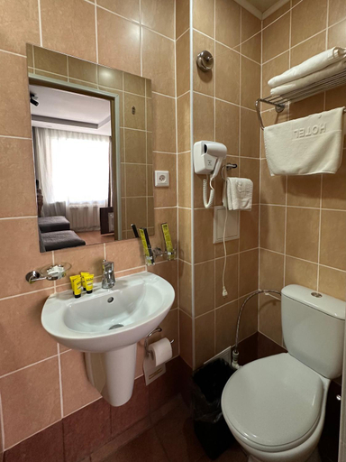 Bathroom 3, Hotel Gloria Standard, Shuchinskiy