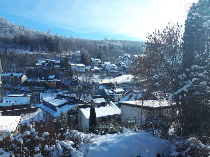 Others 2, Ferienwohnung bei Willingen mit eigener Terrasse, Waldeck-Frankenberg