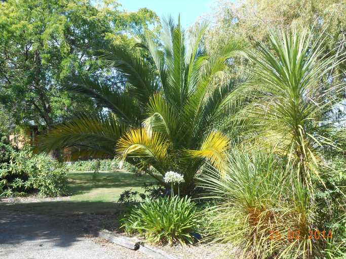 Others 4, Antares Homestay, Marlborough