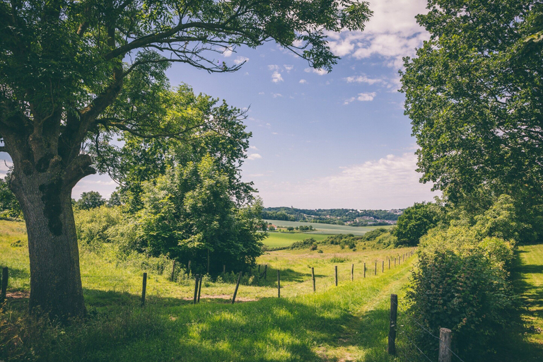View from property 2, Well-kept Bungalow With Microwave Near Valkenburg, Valkenburg aan de Geul