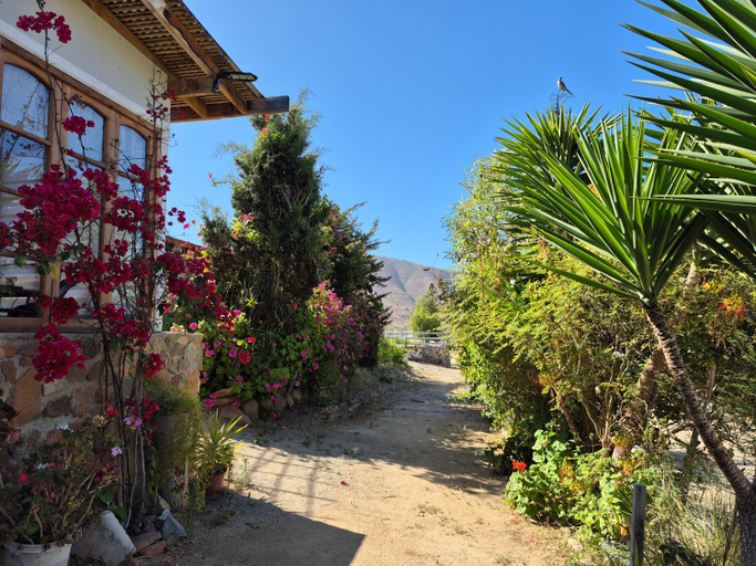Others 3, Hostal Los Almendros, Choapa