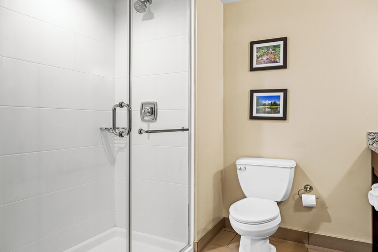 Bathroom 4, Heartland Inn and Suites, Platte