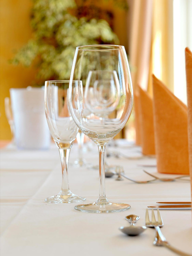 Food & Drinks 3, Panorama Hotel am Frankenstein, Wartburgkreis