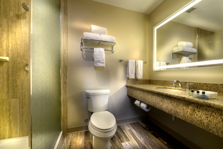 Bathroom 4, Hotel Maison Yakima Tapestry Collection by Hilton, Yakima