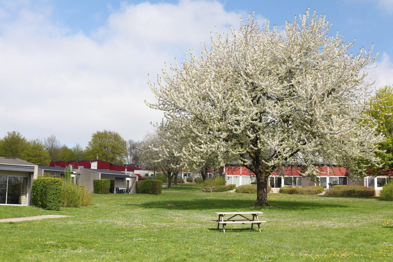Garden 3, Well-kept Bungalow With Microwave Near Valkenburg, Valkenburg aan de Geul