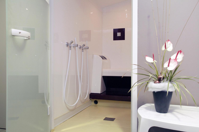 Bathroom 4, Strasbourg Centre Les Halles, Bas-Rhin