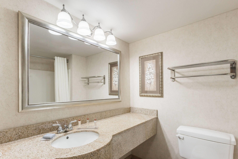 Bathroom 4, Wingate by Wyndham - Joliet, Will