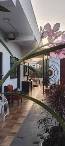Sport & Beauty, Arasu Homestay, Mysore