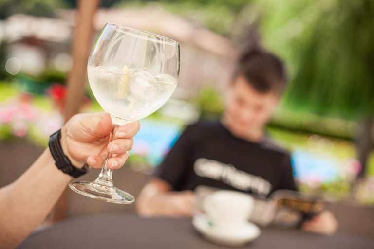 Food & Drinks 4, Hotel Catalunya Park, Girona