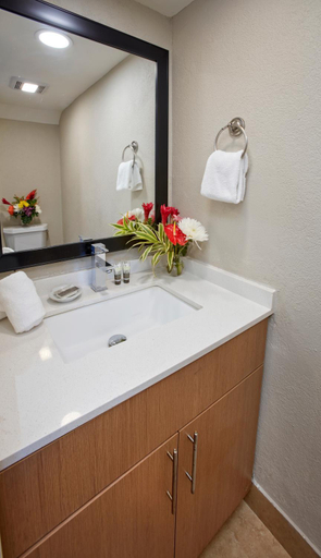 Bathroom 4, Divi Southwinds Beach Resort