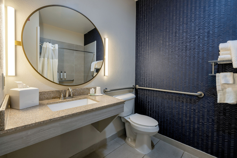 Bathroom 4, Fairfield Inn by Marriott Dothan, Houston