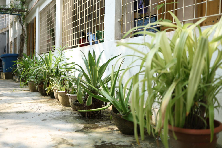Public Area 3, Kriya Yoga Wellness, South 24 Parganas