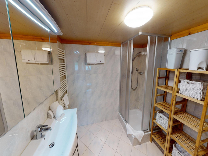 Bathroom 3, Chalet in Wildkogel near Ski Slopes, Zell am See