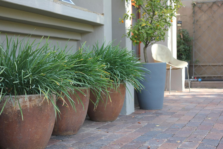 Others 3, Richtershuyz Luxury Accommodation, City of Tshwane