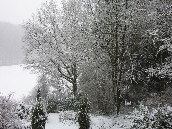 Others 5, Cozy Escape in Bohon, Luxembourg