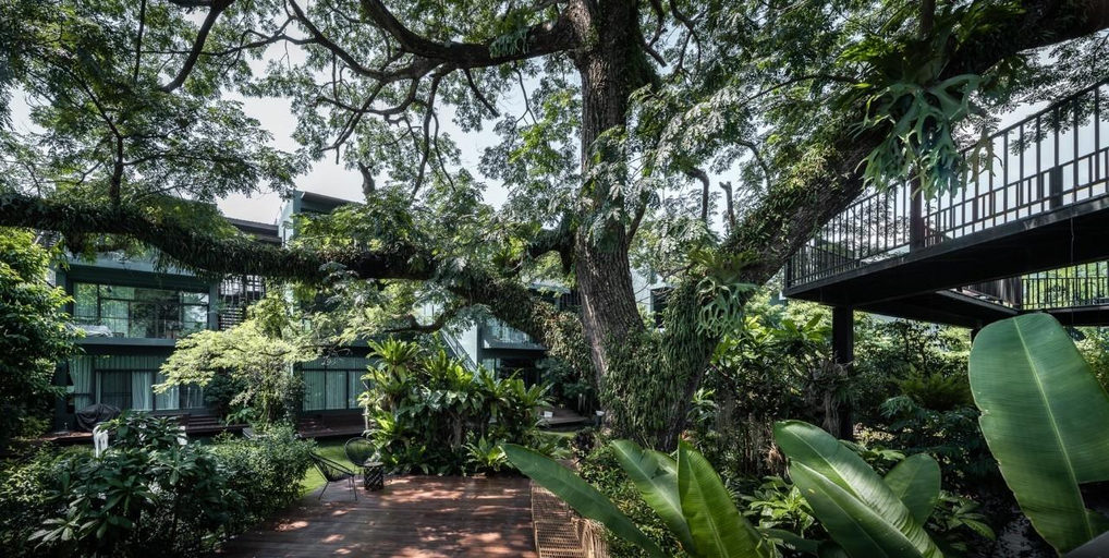 Others 3, CAYLA Private Residence, Muang Chiang Mai