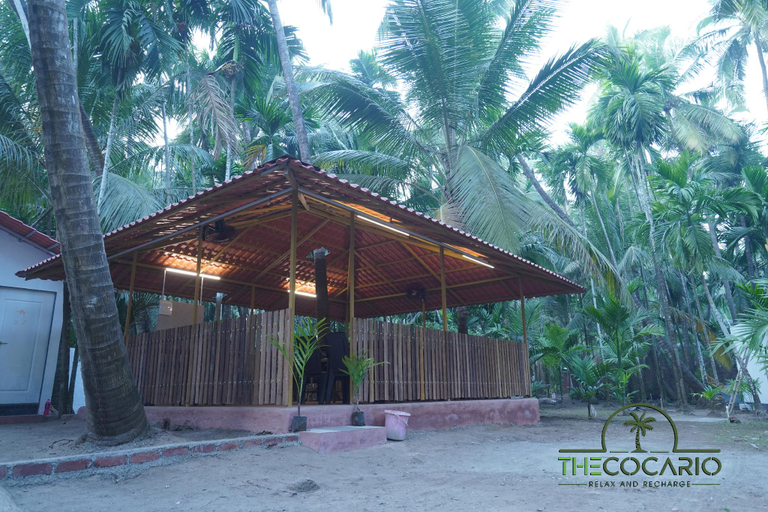 Others 5, The Cocario, Raigarh