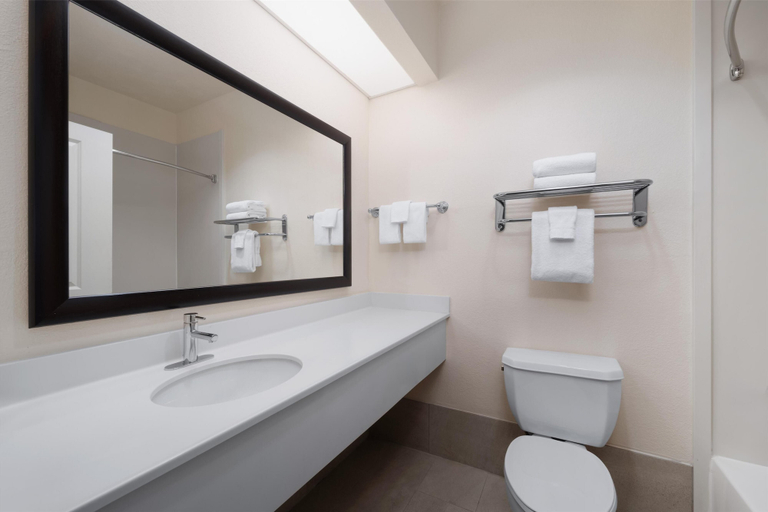 Bathroom 5, Best Western Plus Downtown Inn & Suites, Houston