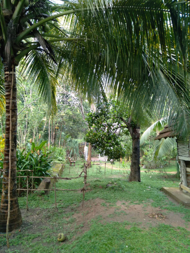 Others 5, Home in the Island, Tangalle