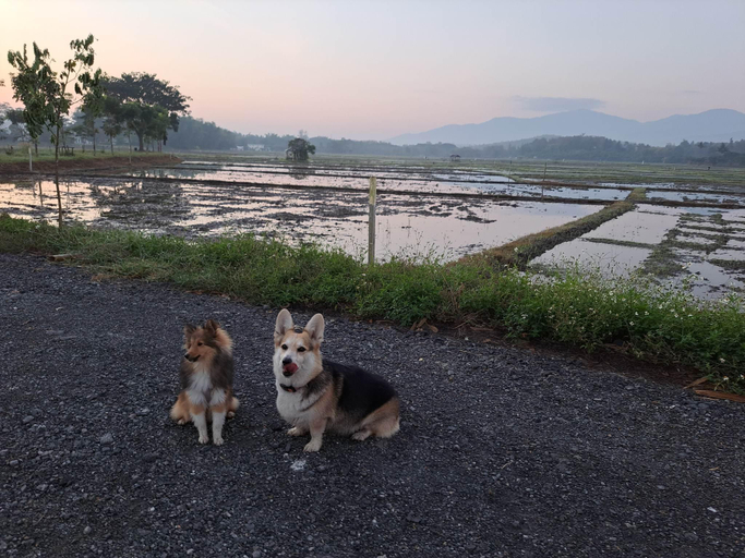Others 5, DGD Chiangmai @ Maerim, Mae Rim