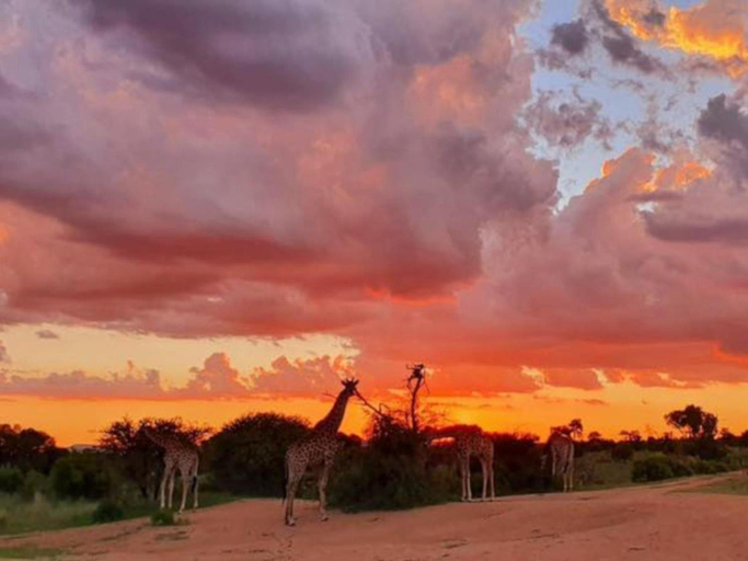 Others 5, Mabula - Arendsig Villa, Waterberg