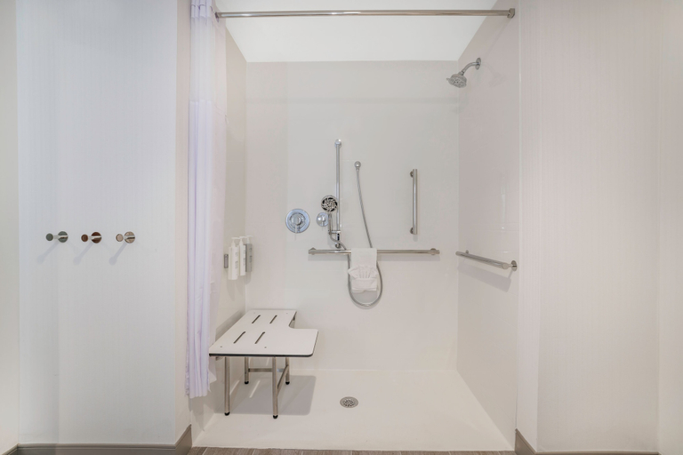 Bathroom 4, Hampton Inn Aurora Medical Center Denver, Adams