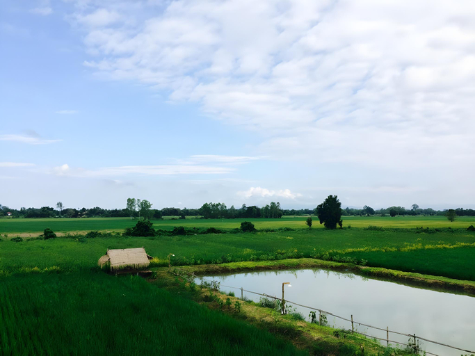 Others 5, The vacation@Baanrai Paina, Doi Saket