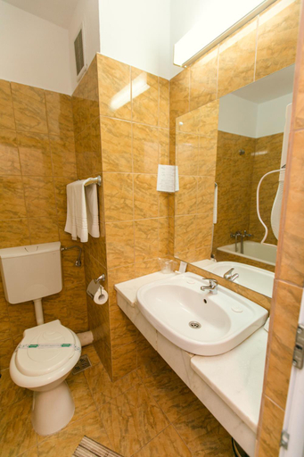 Bathroom 4, Hotel Poienita, Sanmartin