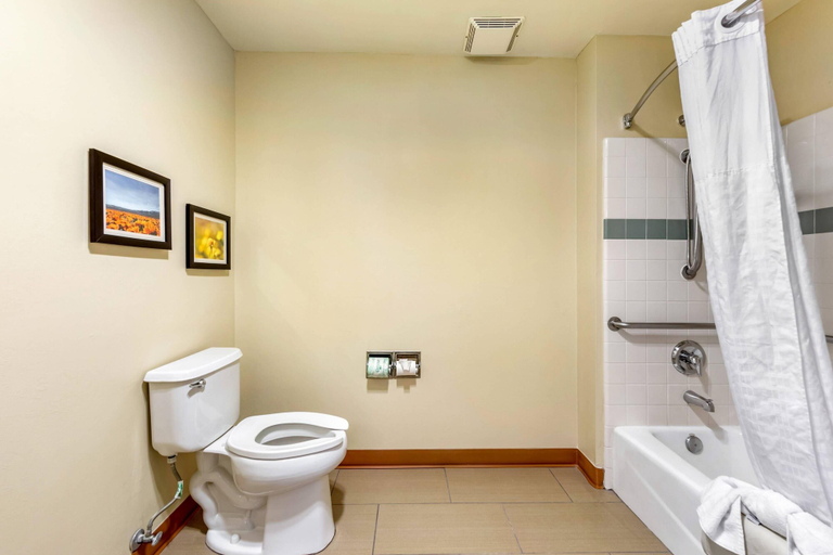 Bathroom 5, Comfort Inn & Suites Lancaster Antelope Valley, Los Angeles