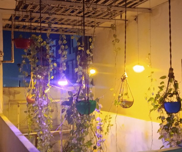 Others 3, International Hotel, Gorakhpur