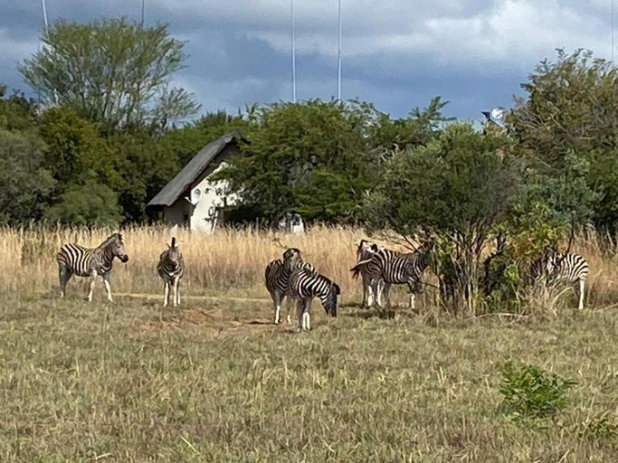 Others 3, Mabula - Arendsig Villa, Waterberg