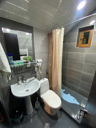 Bathroom 3, Villa Sun Valley, Borjomi