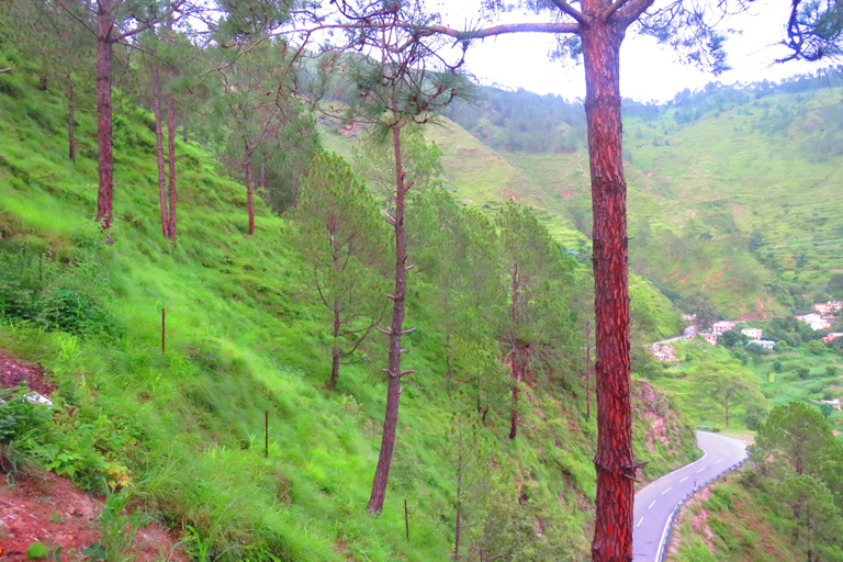 Others 2, Durgesh Hillock Resort, Almora