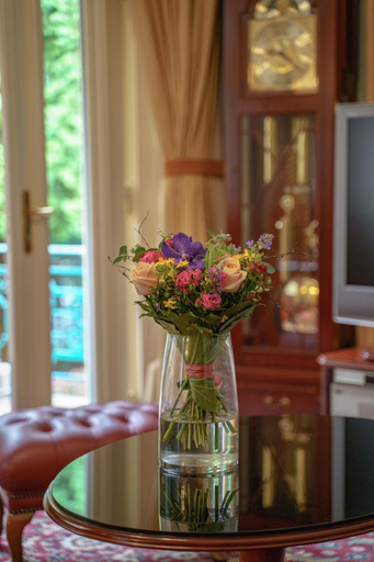 Public Area, Hotel Mignon, Karlovy Vary