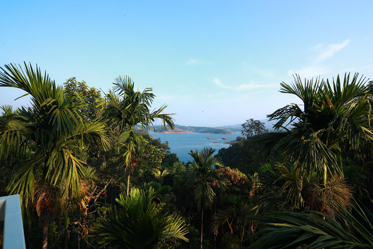 Others 5, Bonita Banasura, Wayanad